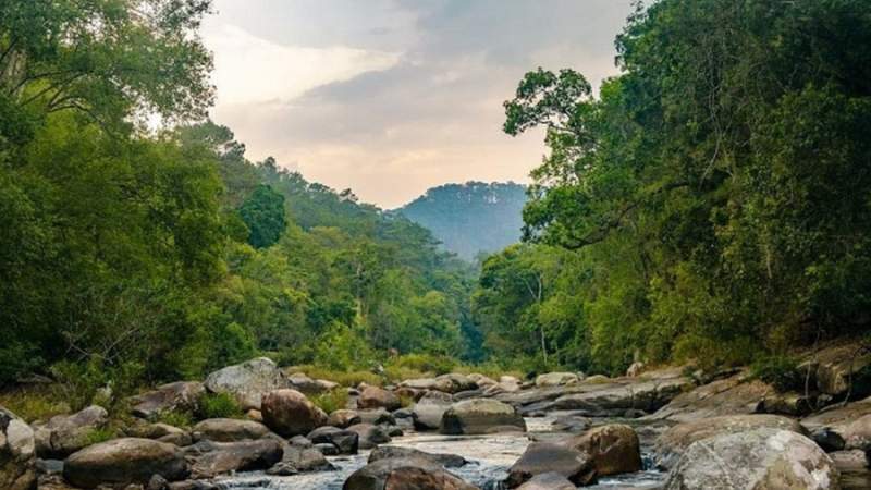 Trekking Chu Yang Sin National Park in a day (with overnight stay) (5)